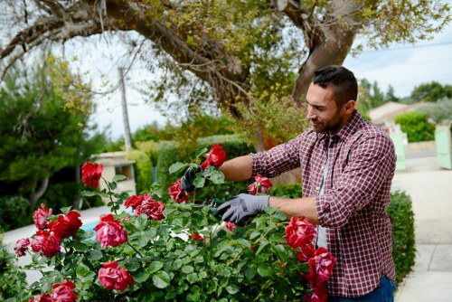 Garden waste and materials managed during landscaping work