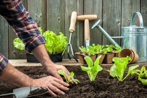 Hard landscaping services for Marylebone gardens and courtyards