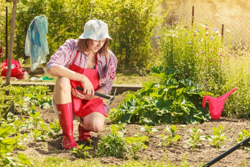 Client concern raised about a garden project