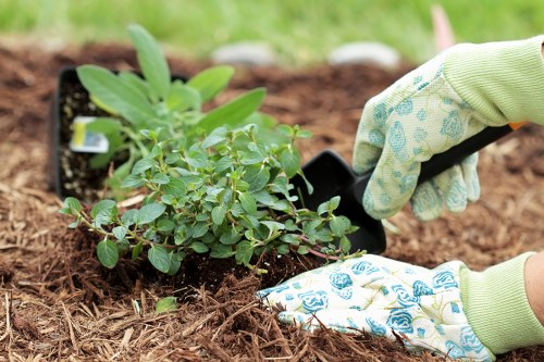 Professional garden landscaping services for a central London townhouse garden