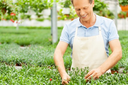 Keyboard navigation and usability guidance for accessible landscaping content