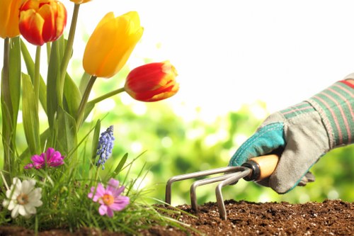 Ongoing accessibility commitment for Marylebone landscaping pages