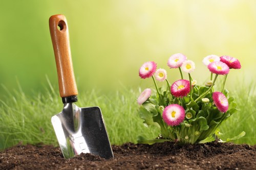 Fresh planting and soft landscaping for a Marylebone home garden